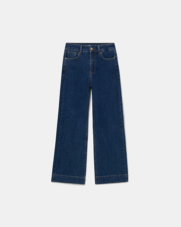 Jean Jani Jean flare stone ZAPA