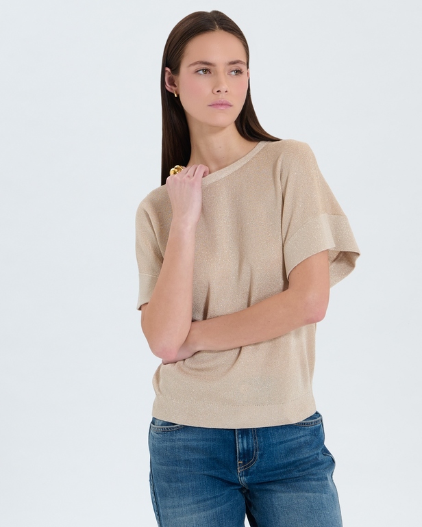 Pull Pradel Pull fin champagne paillet&eacute; ZAPA