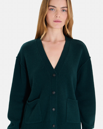 Gilet Gatty Gilet col V boutonné vert en cachemire ZAPA
