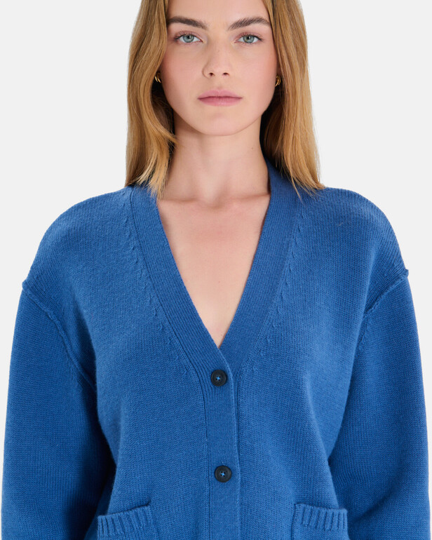 Gilet Gatty Gilet col V boutonn&eacute; indigo en cachemire ZAPA